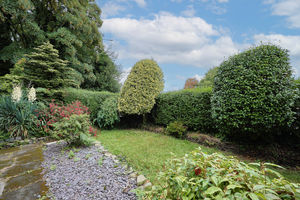 Photo 46- click for photo gallery